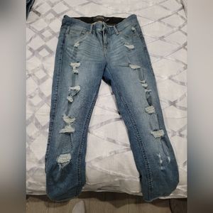 Torrid Jeans